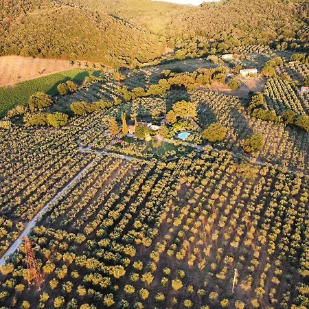 Agriturismo Podere Valdo غافورانا المظهر الخارجي الصورة