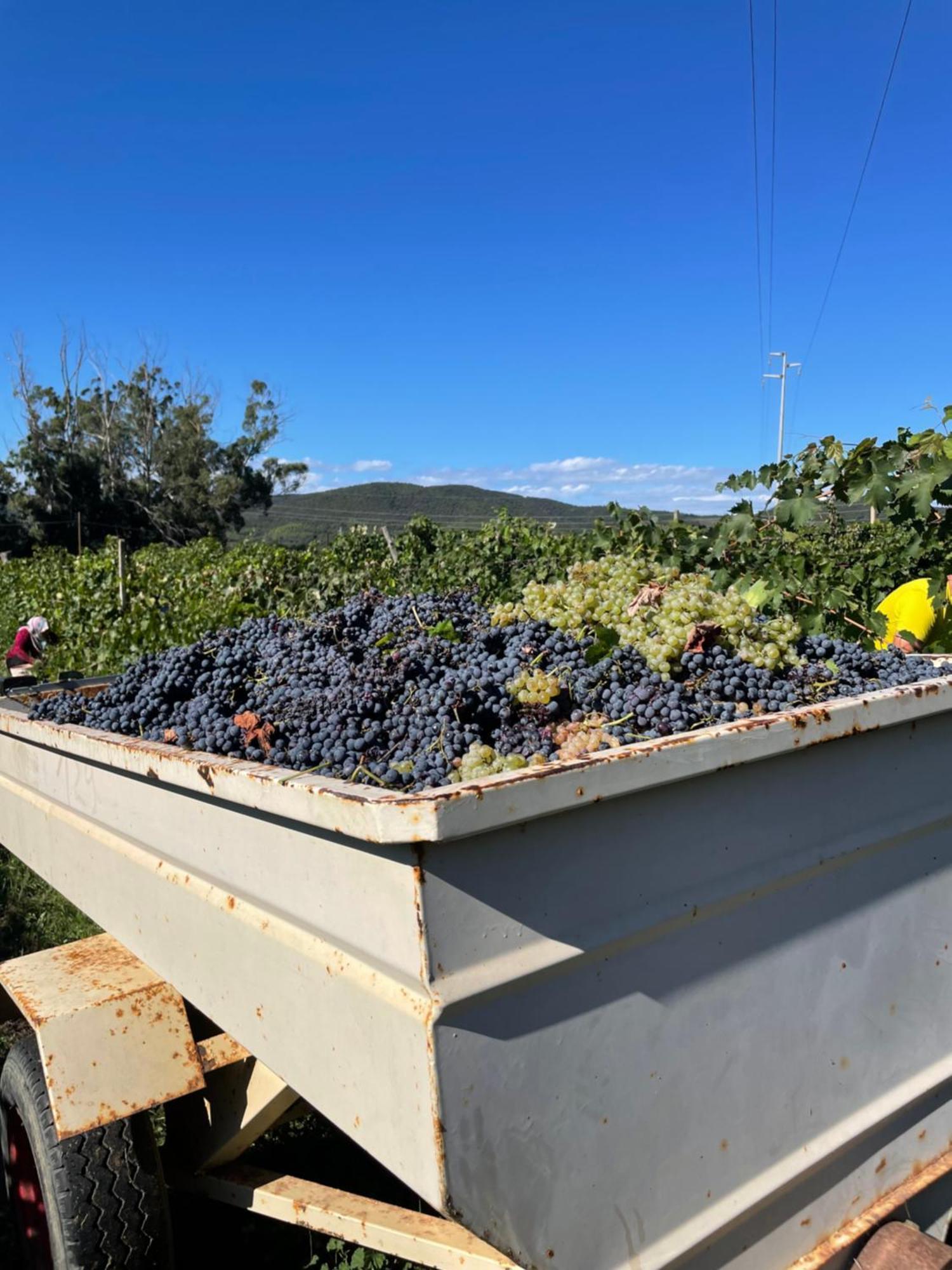 Agriturismo Podere Valdo غافورانا المظهر الخارجي الصورة