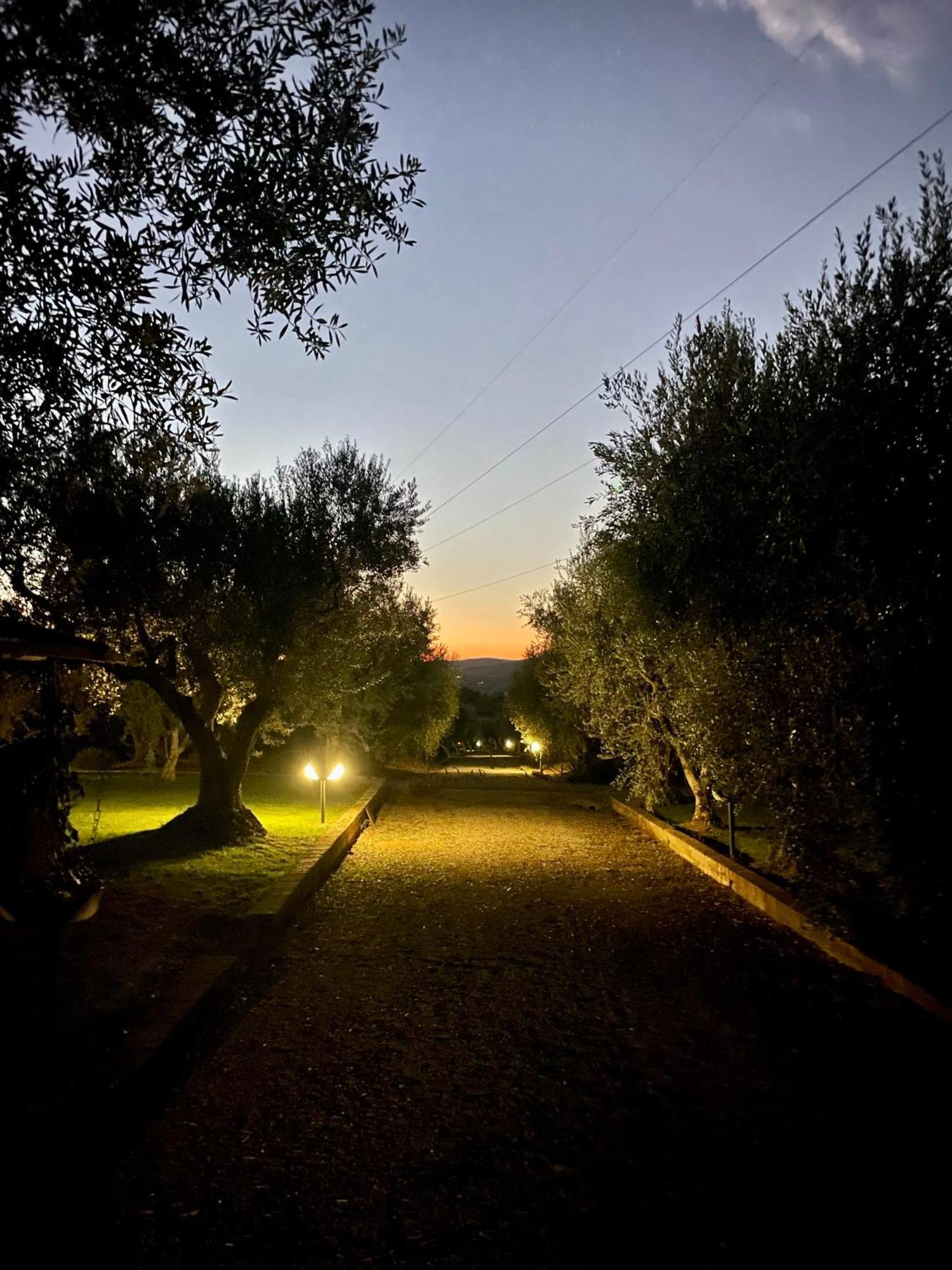 Agriturismo Podere Valdo غافورانا المظهر الخارجي الصورة