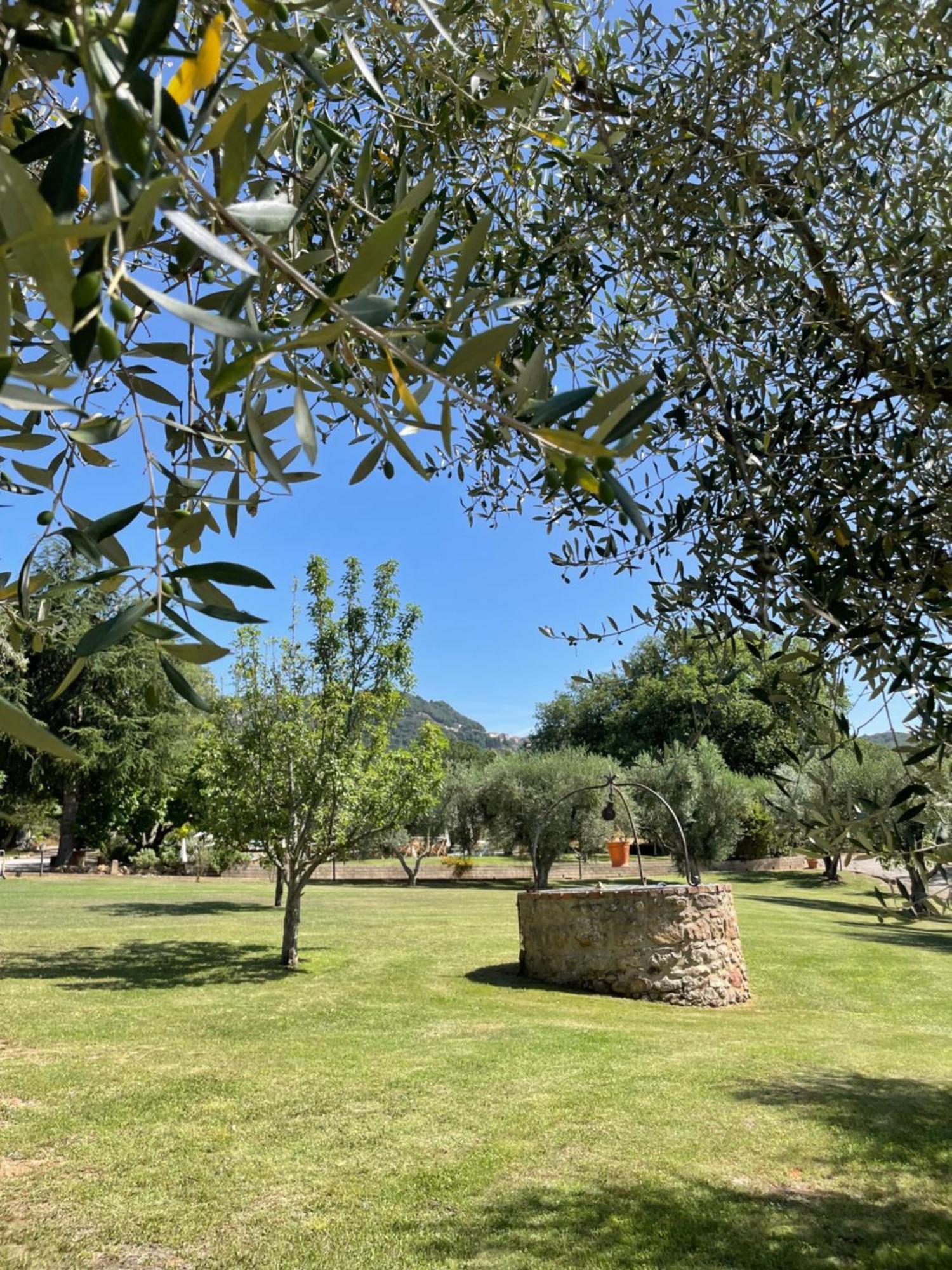 Agriturismo Podere Valdo غافورانا المظهر الخارجي الصورة