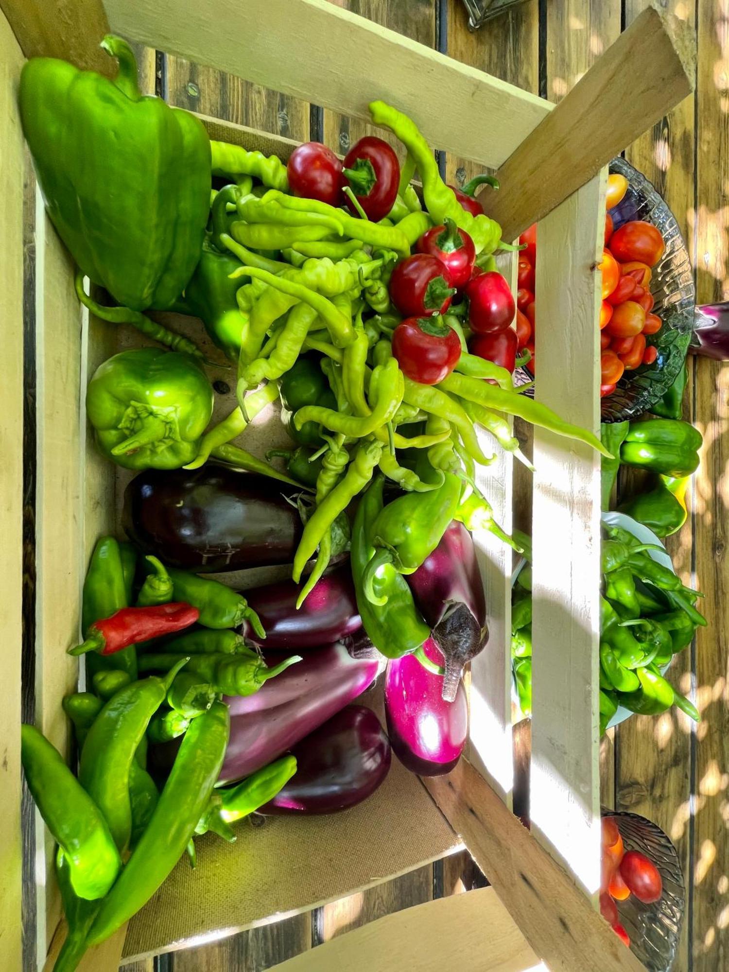 Agriturismo Podere Valdo غافورانا المظهر الخارجي الصورة