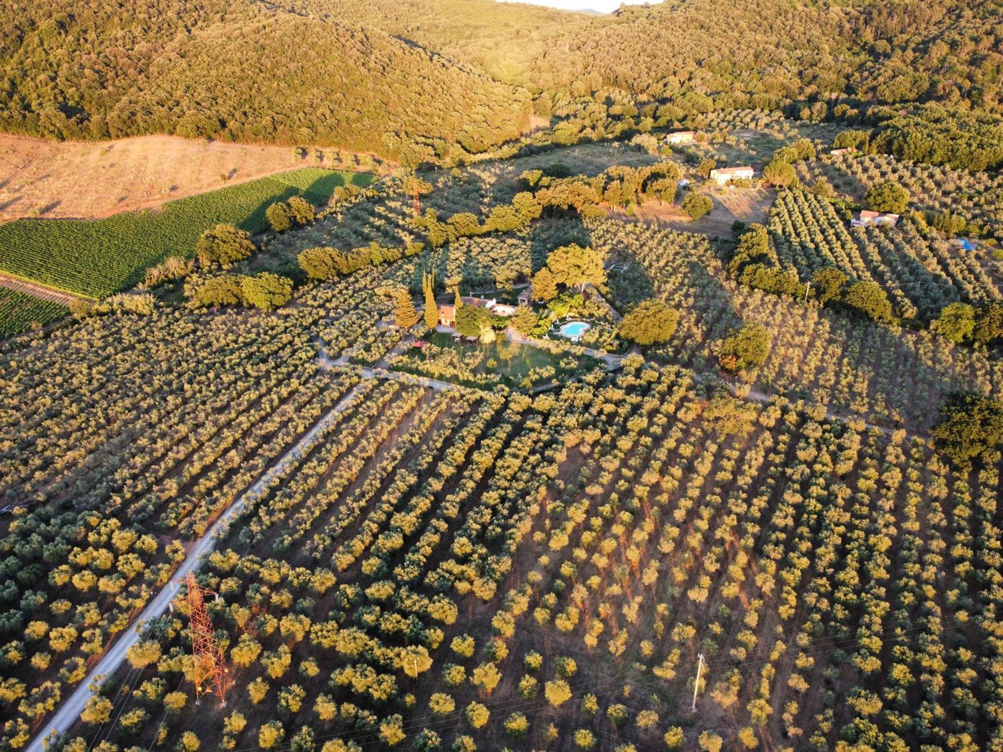 Agriturismo Podere Valdo غافورانا المظهر الخارجي الصورة