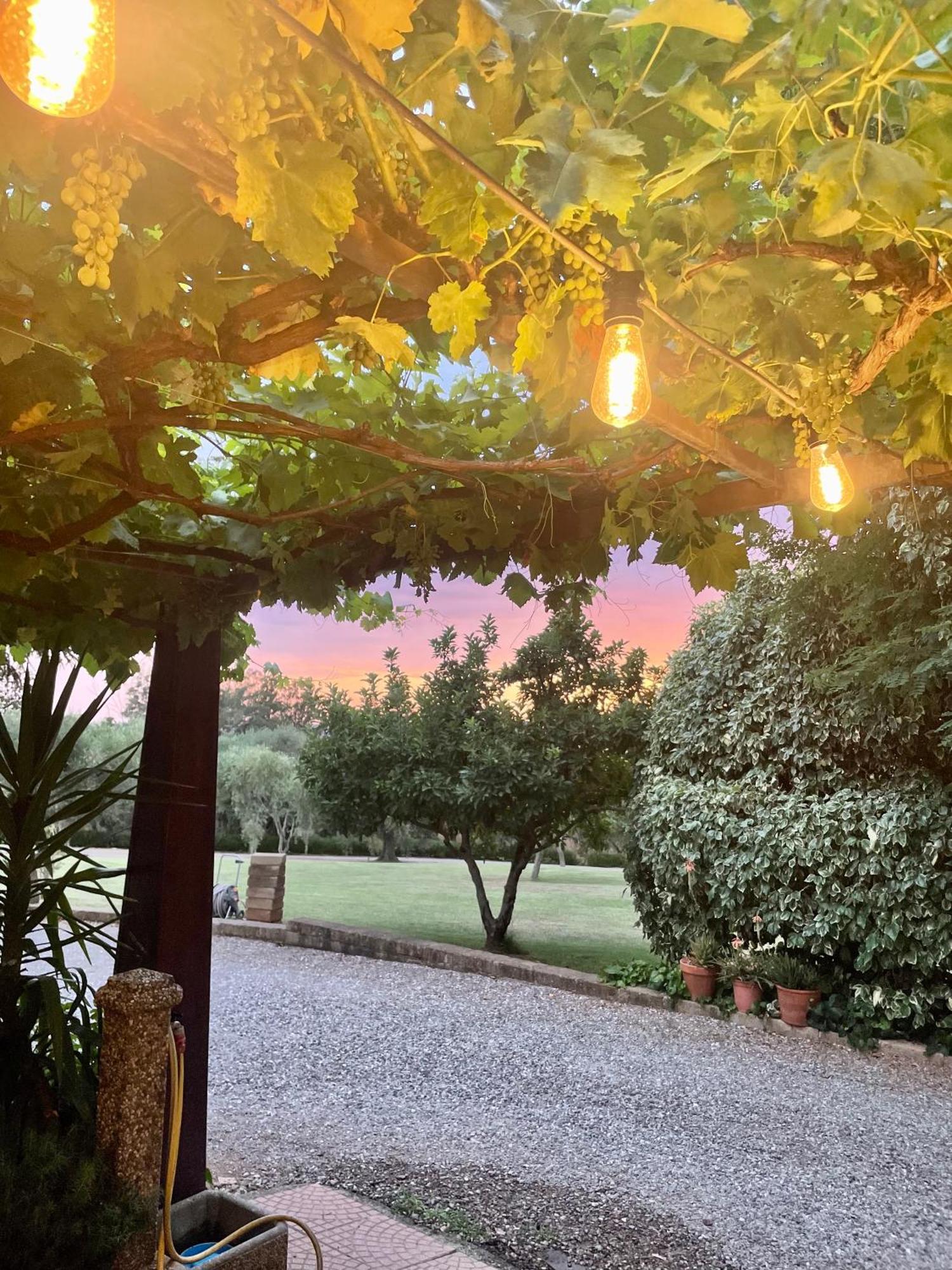 Agriturismo Podere Valdo غافورانا المظهر الخارجي الصورة