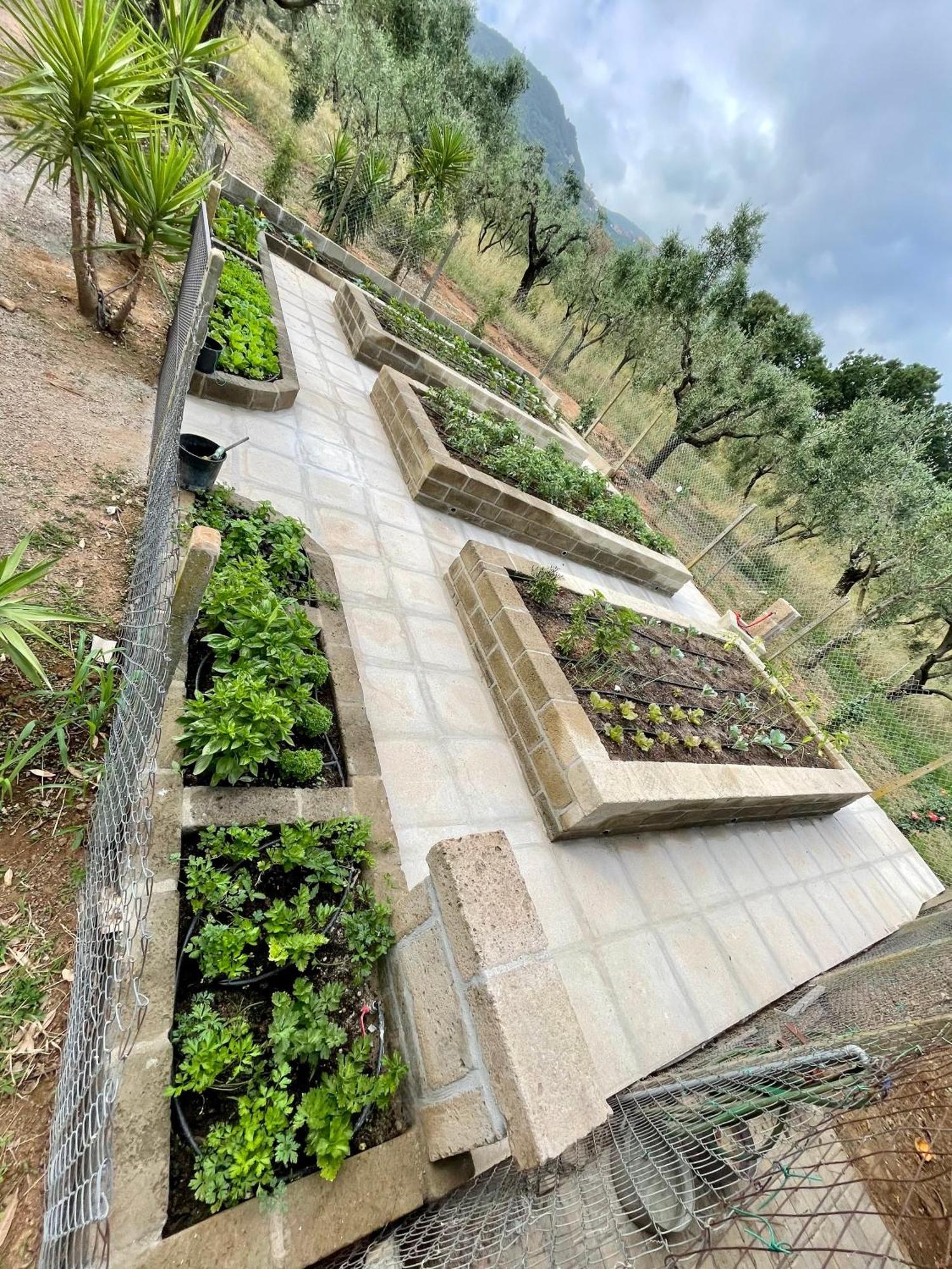 Agriturismo Podere Valdo غافورانا المظهر الخارجي الصورة