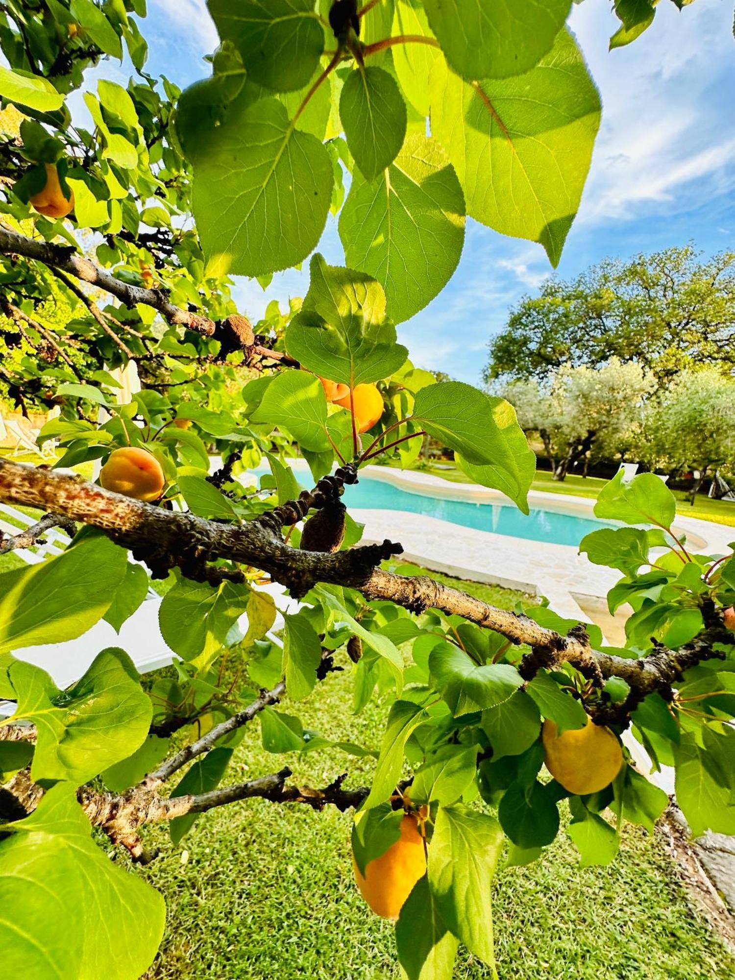 Agriturismo Podere Valdo غافورانا المظهر الخارجي الصورة